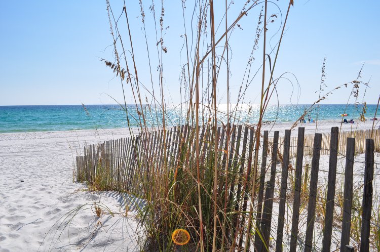Sanddollar Townhomes Scenic Gulf Drive Miramar Beach Destin Florida Vacation Rentals by Sunset Resort Rentals